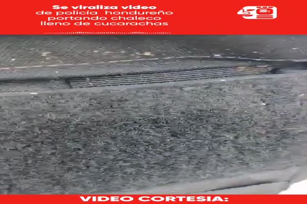 Se viraliza video de policía  hondureño portando chaleco lleno de cucarachas